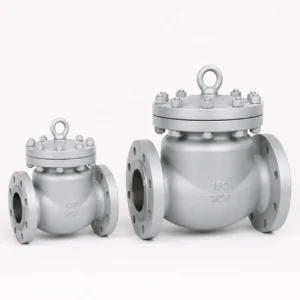 Check Valves